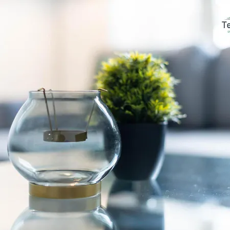 Apartment Marigold At Telly Homes: With Wifi
